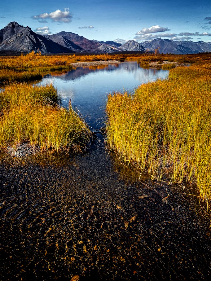 Fall foliage at Last Lake