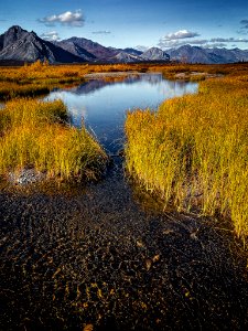 Fall foliage at Last Lake