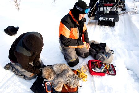 Lynx Project At Yukon Flats National Wildlife Refuge