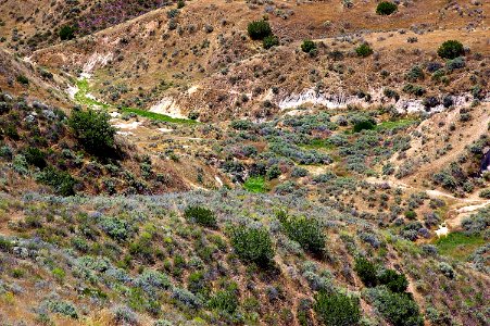 B- QUAIL SPRINGS-1