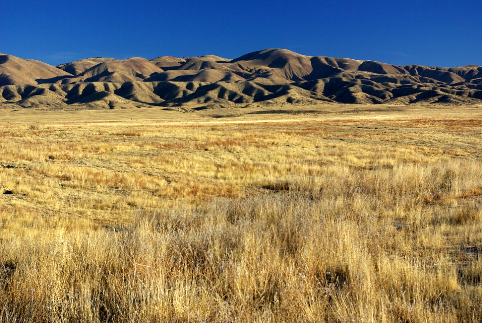 ALONG UPPER ELKHORN RD -12-30-06 -2