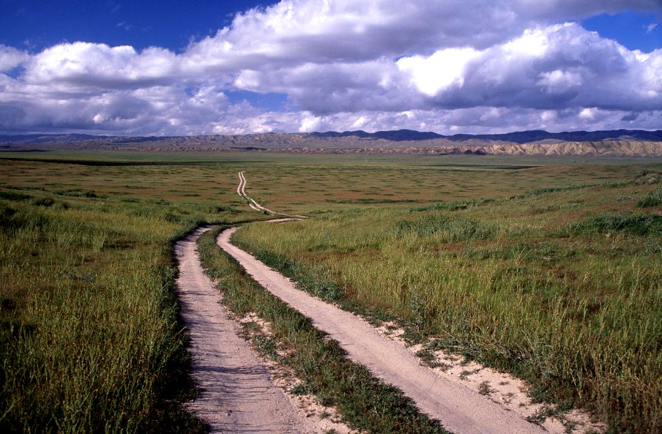 Flats-4, road on east side