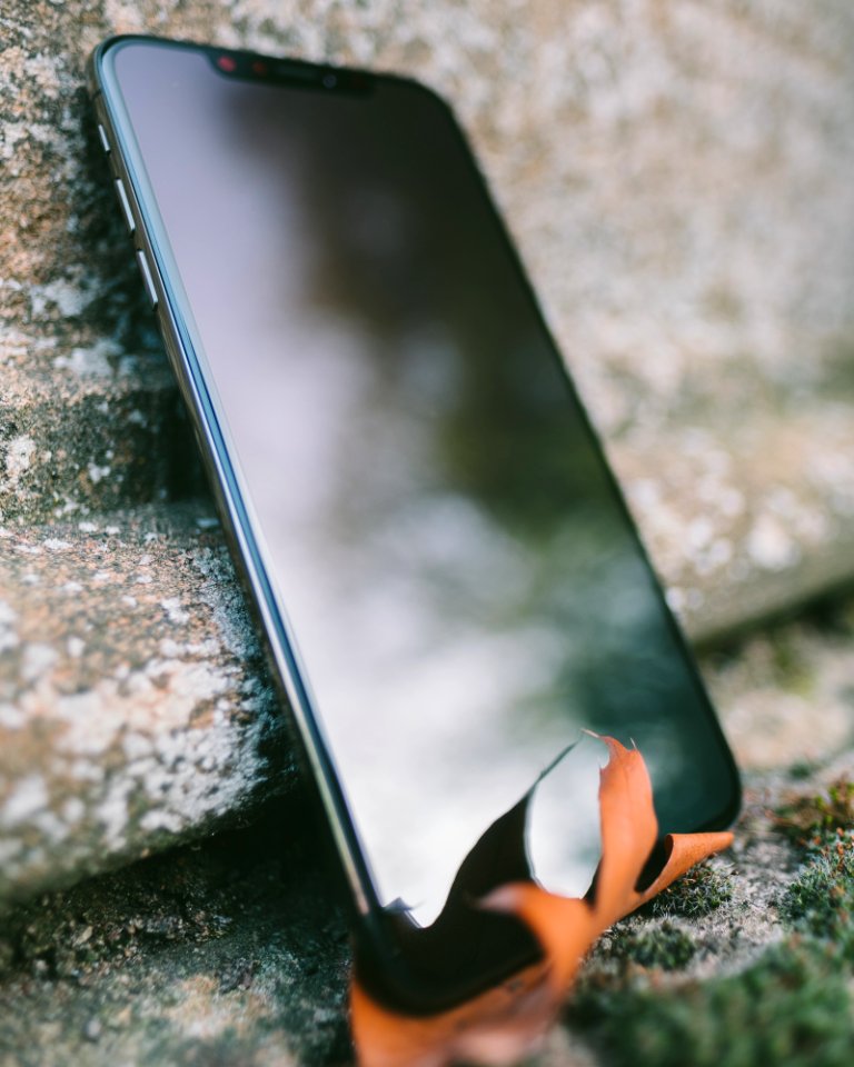 iPhone XS Max