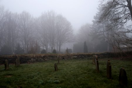 Neulich auf dem Friedhof photo