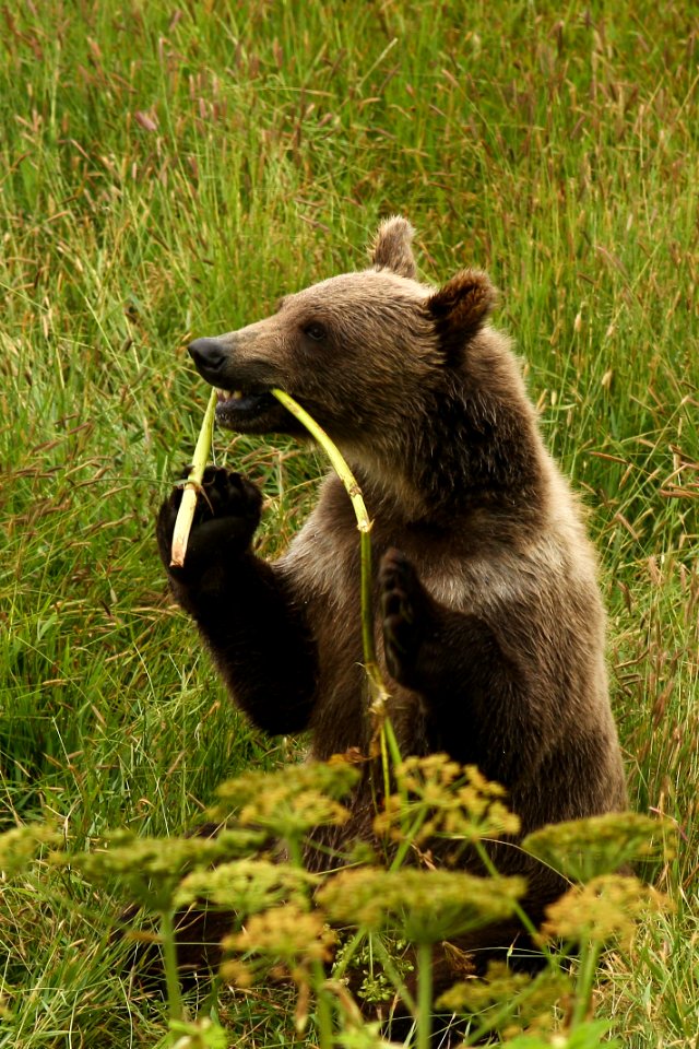 Snack time