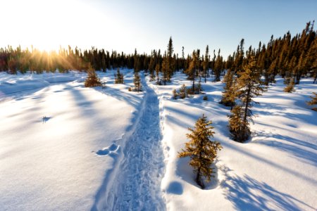 Snowshoe trail along the creek.