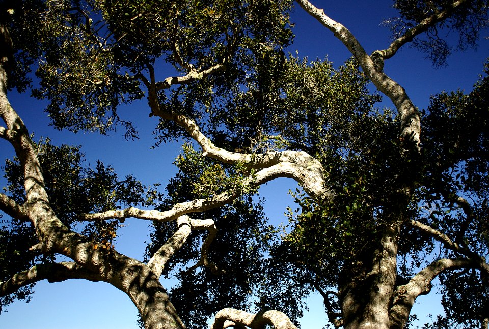 Our Land South of Morro Bay.