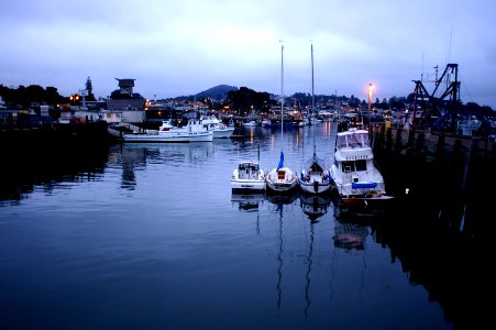 EARLY MORNING AT MORRO BAY HARBOR -023 photo