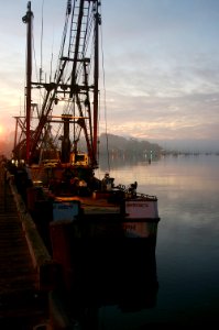 EARLY MORNING AT MORRO BAY HARBOR -032 photo