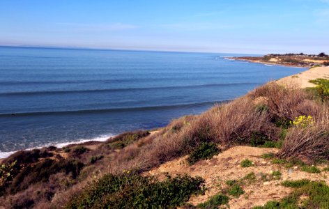 Southern California coastal habitat photo