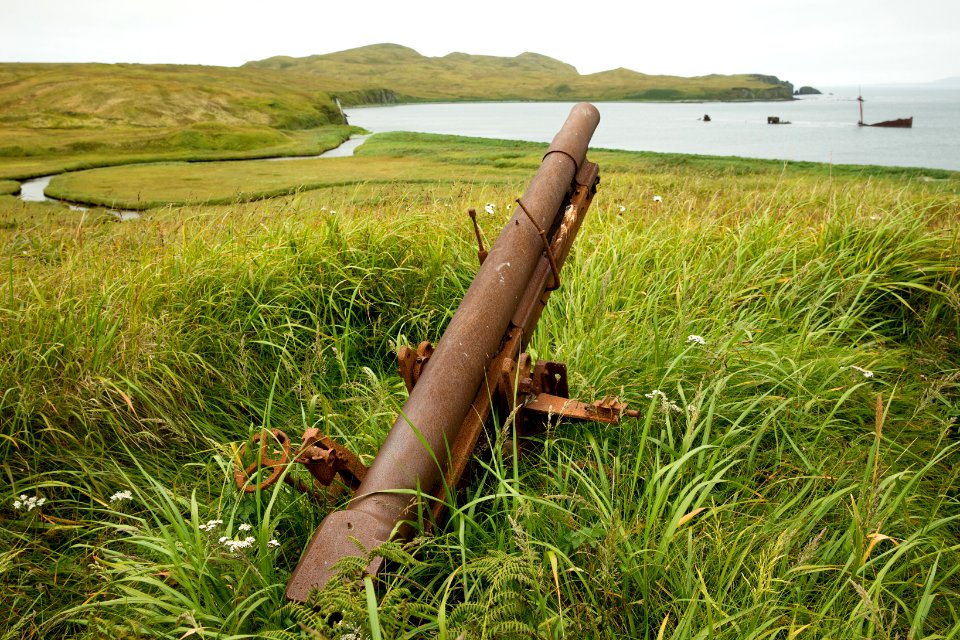 Japanese Anti-Aircraft 75mm Type 88 gun and Gertrude Cove, Kiska