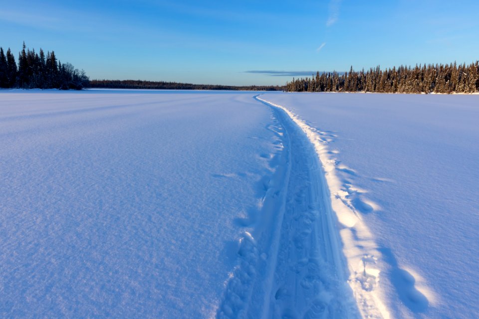 Ski and sled track over a frozen lake.