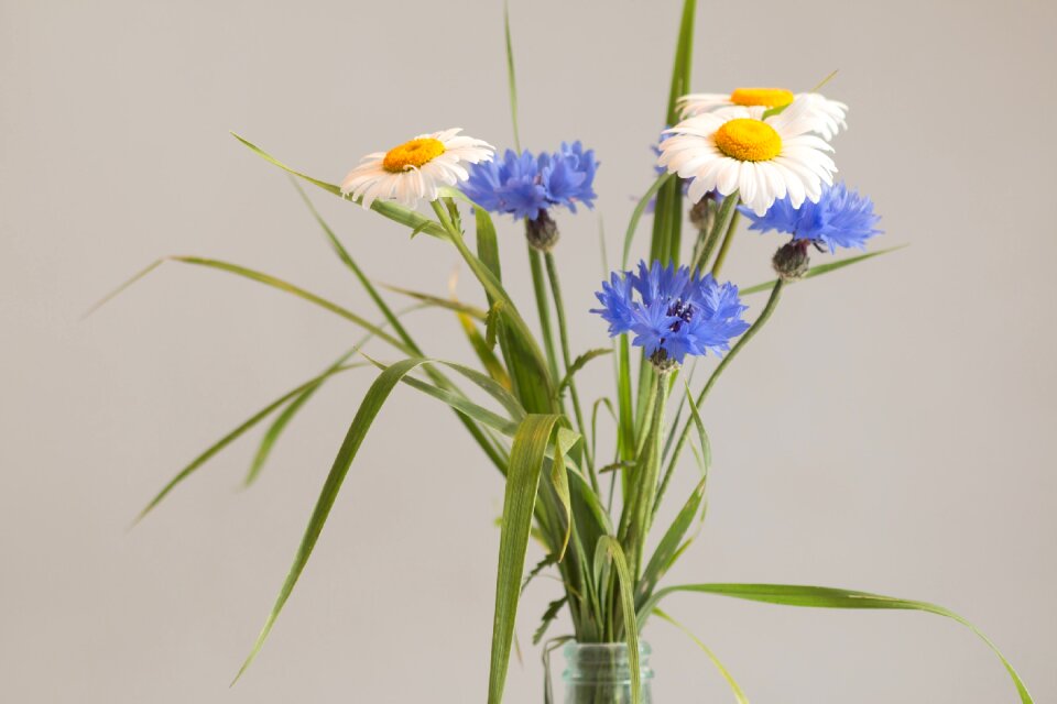Birthday bouquet flowers vase