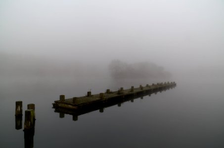 Ümminger See im Nebel photo