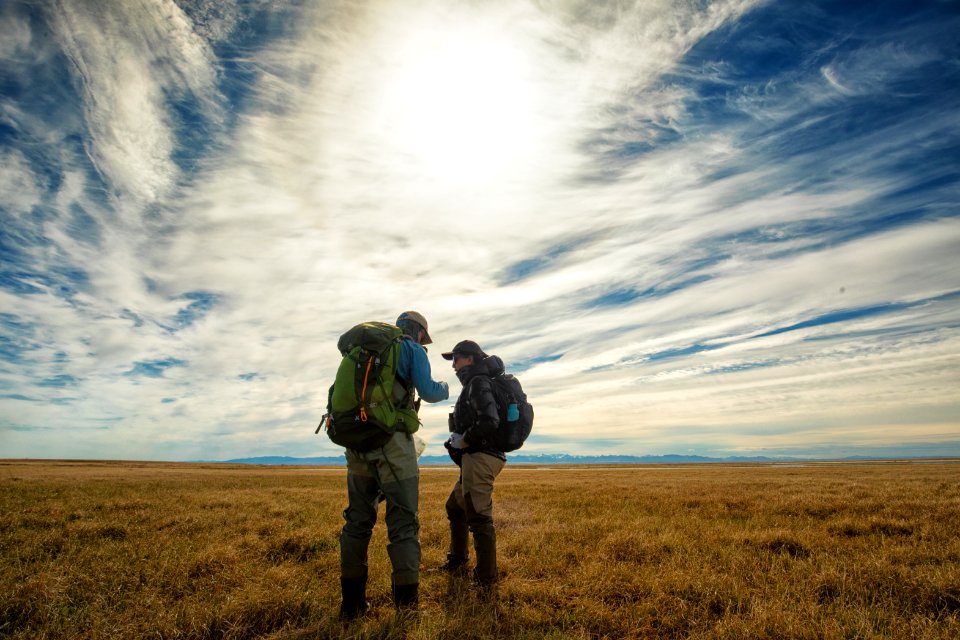 Biologists visit a marked shorebird nest on the tundra - Arctic Bird Fest 2019