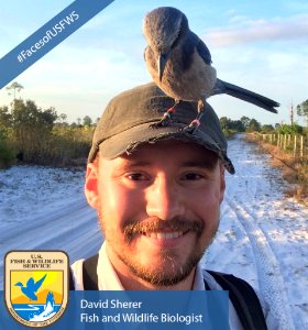 Faces of the U.S. Fish and Wildlife Service – David Sherer