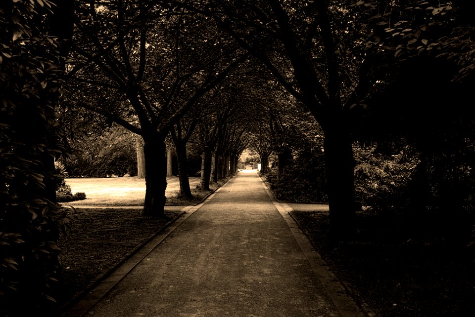 Friedhof an der Kirchharpener Strasse