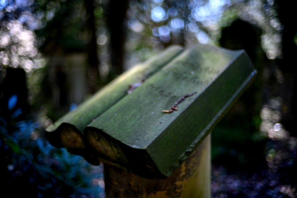 Neulich auf dem Friedhof photo