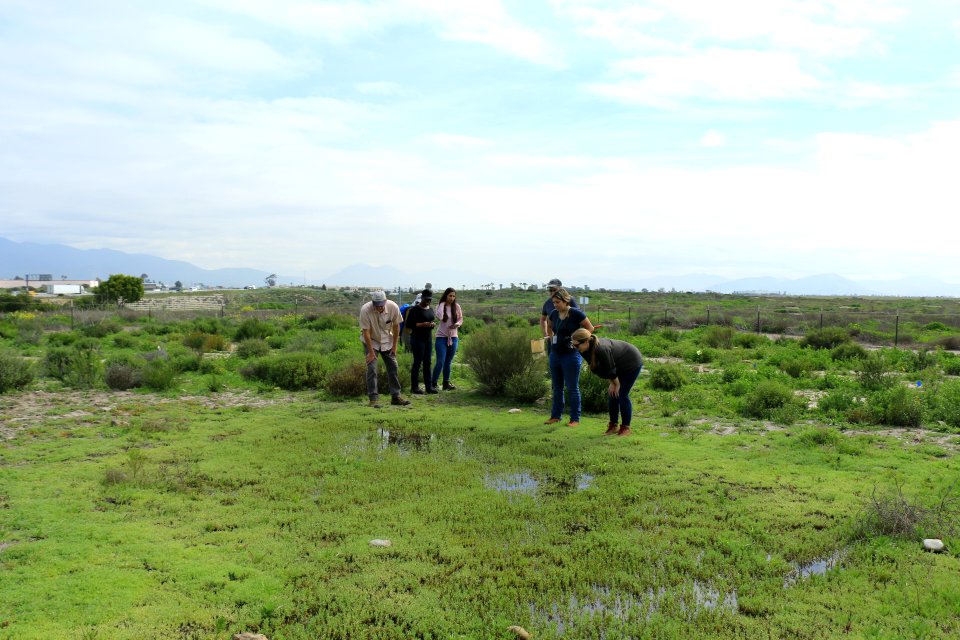 Vernal pool restoration site visit with Caltrans, SANDAG & USFWS staff