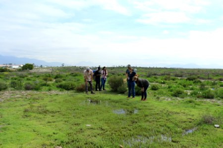 Vernal pool restoration site visit with Caltrans, SANDAG & USFWS staff