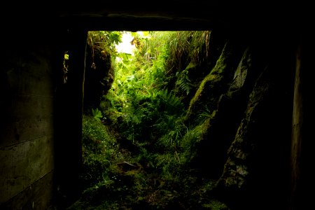 Bunker view, Kiska