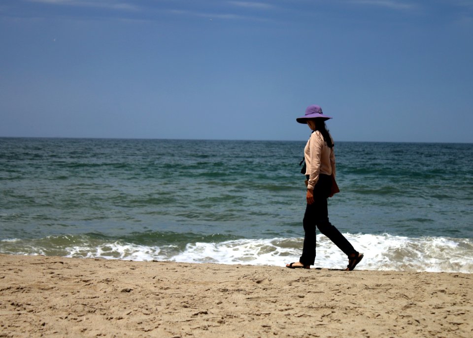 Lena Chang, senior fish and wildlife biologist with the Service in Ventura, and volunteer coordinator for the South Coast Chapter of BeachCOMBERS, conducts a survey of Hollywood Beach.