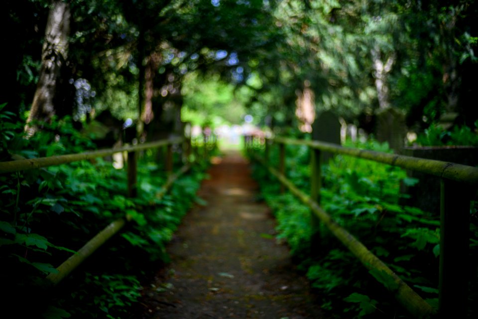 Neulich auf dem Friedhof photo