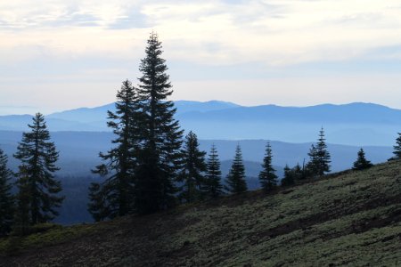 MT LASSEN AREA - 350 - view from mt harkness -02