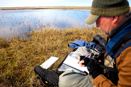 Arctic Bird Fest 2019