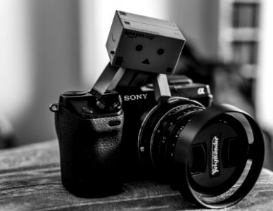 Danbo / NEX7 / Voigtländer Nokton 1,4/35