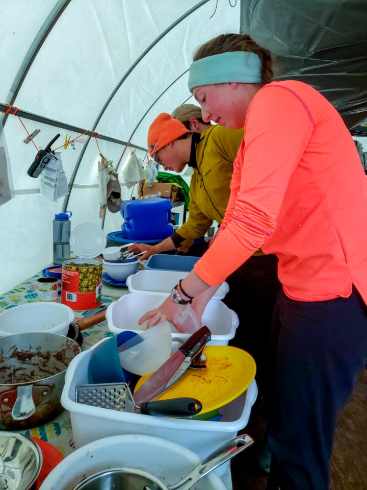 2019 Arctic Virtual Bird Fest