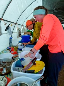 2019 Arctic Virtual Bird Fest