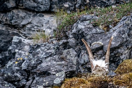 Arctic Refuge - Sheenjek River