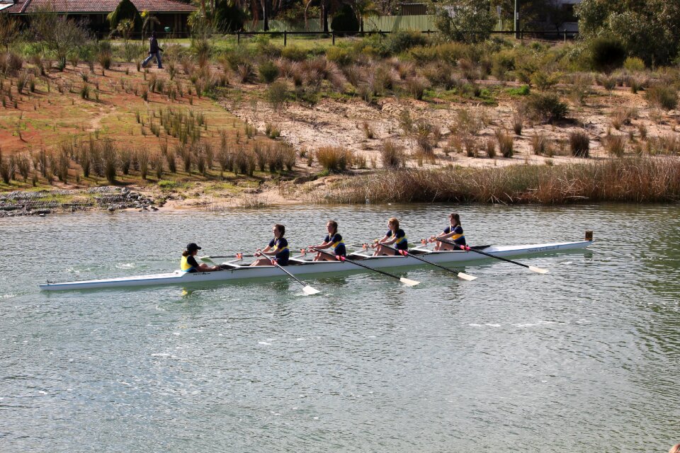 Sport rowing australia