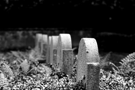 Kriegerfriedhof