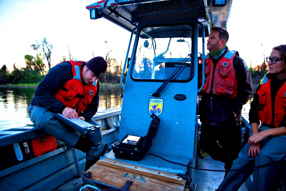 Night green sturgeon survey 2017-12-07 (9)