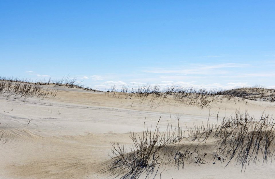 A dune in Assateague