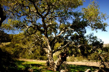Our Land South of Morro Bay.
