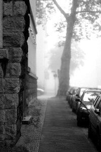 fog in the streets