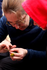 Volunteer Cindy Trussell demonstrates how to identify a warbler