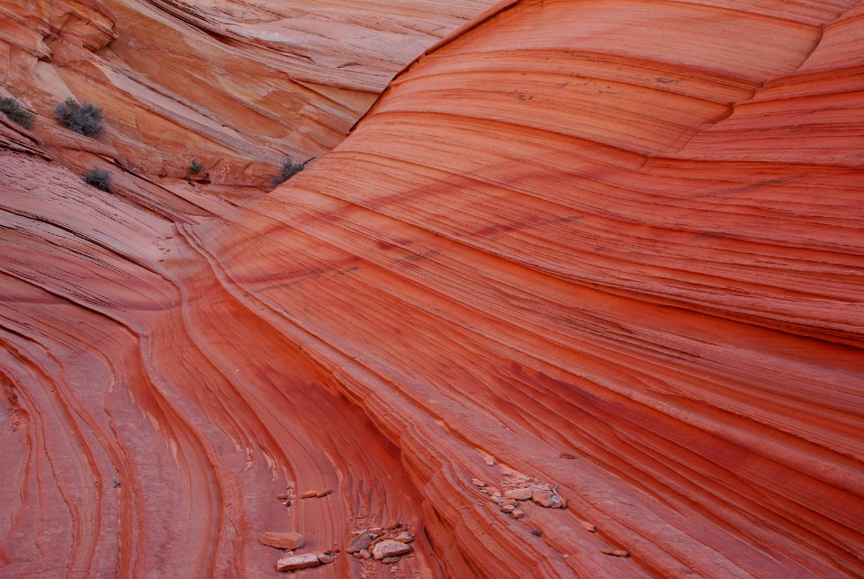 08 - South Coyote Buttes -25