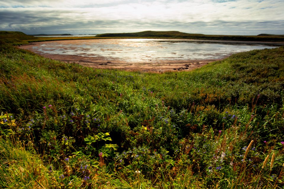 Izembek Refuge on the road to Grant Point