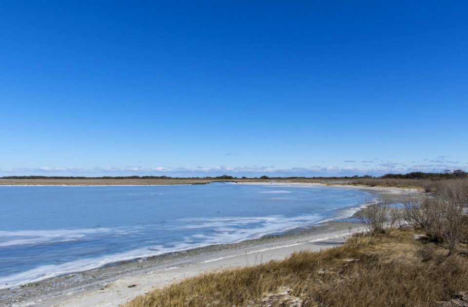 A bay area in Assateague