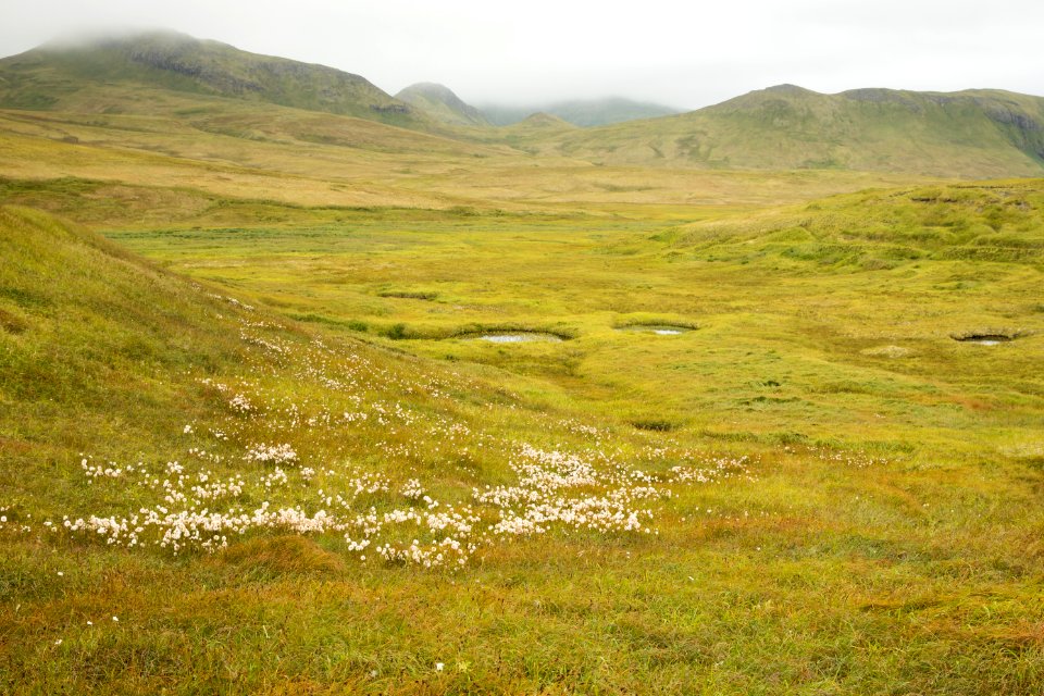 Landscape scars, Kiska
