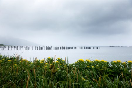 Remains of the docks in Massacre Bay, Attu