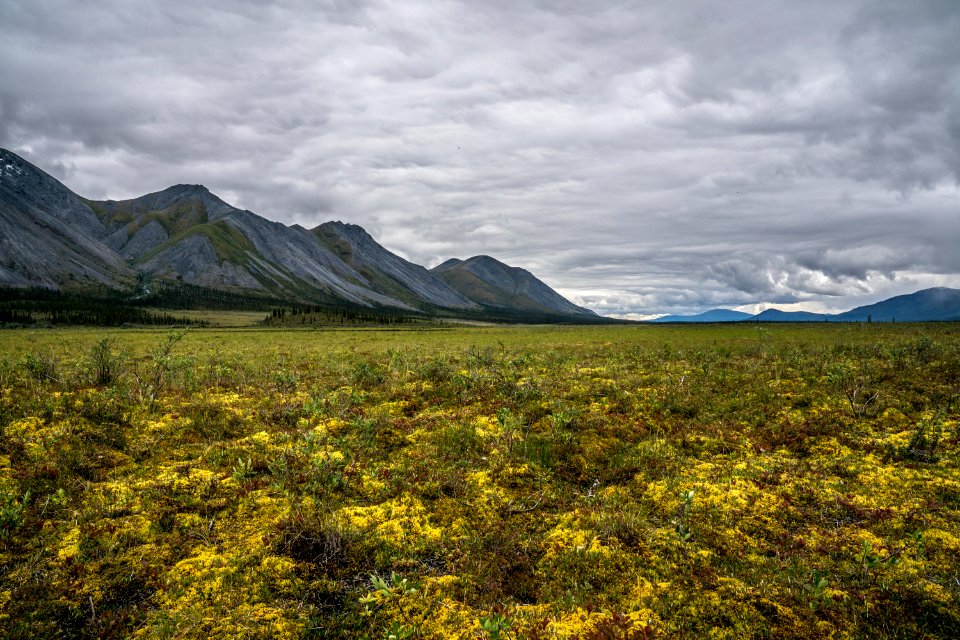 Arctic Refuge - Sheenjek River