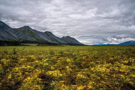 Arctic Refuge - Sheenjek River