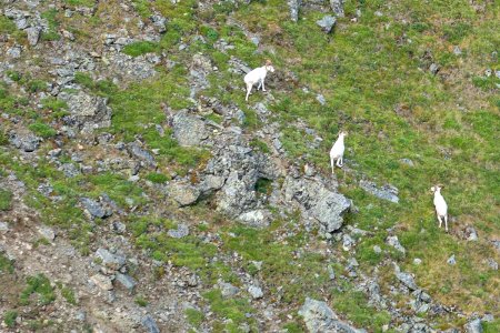 Arctic Refuge - Sheenjek River