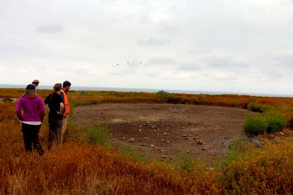 Dry vernal pool at Camp Pendleton