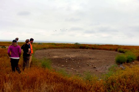 Dry vernal pool at Camp Pendleton